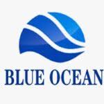 PT. Blue Ocean Heart